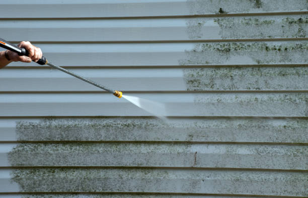Best Patio and Deck Pressure Washing  in Kalaheo, HI